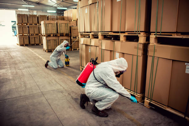Best Emergency Pest Control  in Batesville, TX