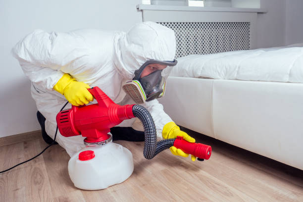 Best Flea Control Services  in Batesville, TX