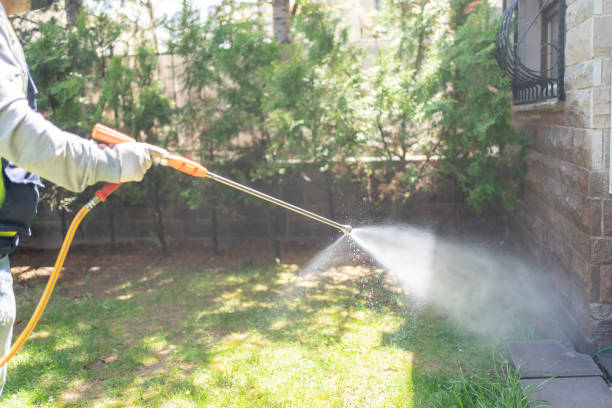 Best Spider Control Near Me  in Batesville, TX