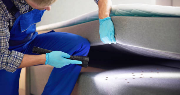 Best Pest Prevention Services  in Batesville, TX