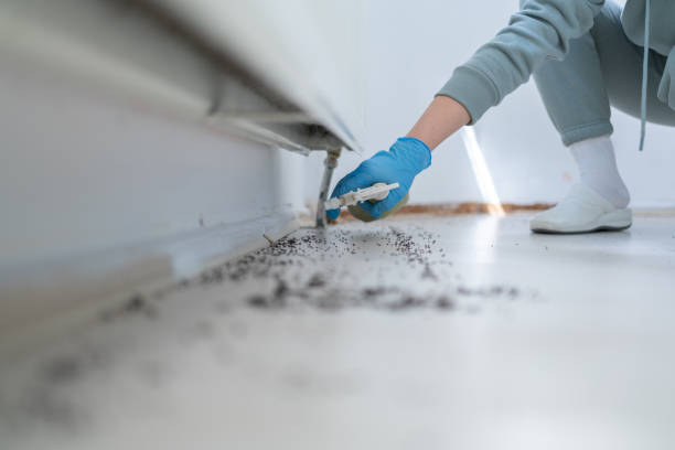 Best Rat Extermination Near Me  in Batesville, TX