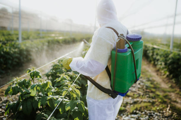 Best Pest Prevention Services  in Batesville, TX